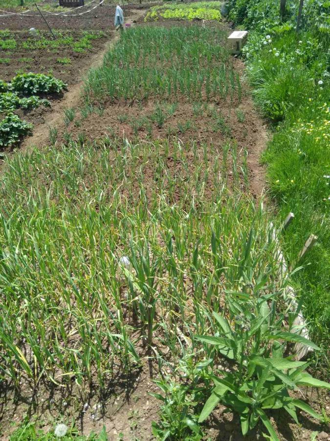 자블야크 Family Farm Jezera 게스트하우스 외부 사진